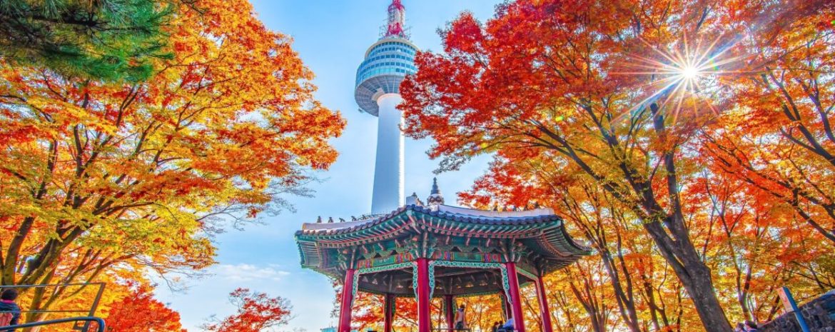 KECAN - Do you want to go to university in Korea? In this article, we look at what visa you need and how to apply for a student visa to South Korea, step by step.